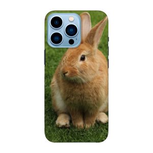 Apple iPhone 13 Pro Hard case (fully printed, glossy)